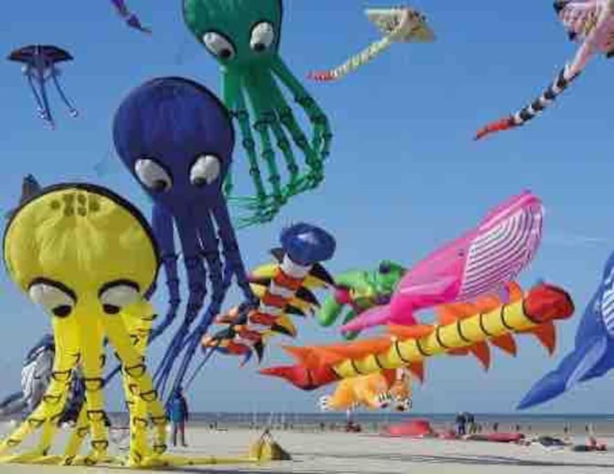 Escapade Berckoise, Berck Plage Экстерьер фото